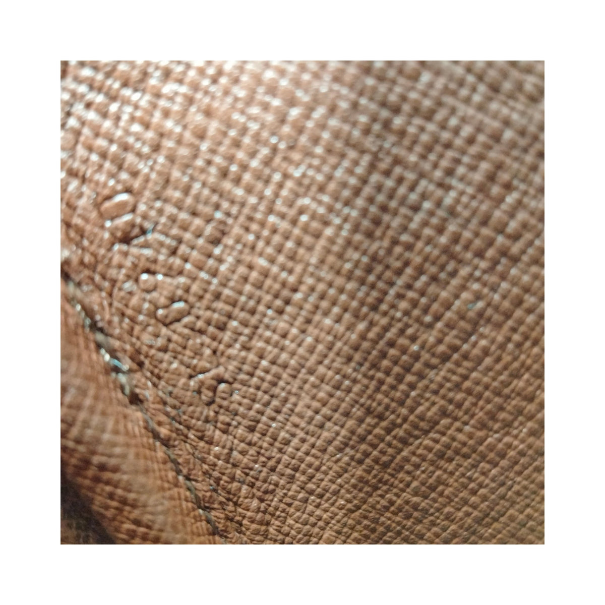 Louis Vuitton Monogram Cartouchière PM Bag — detail 8