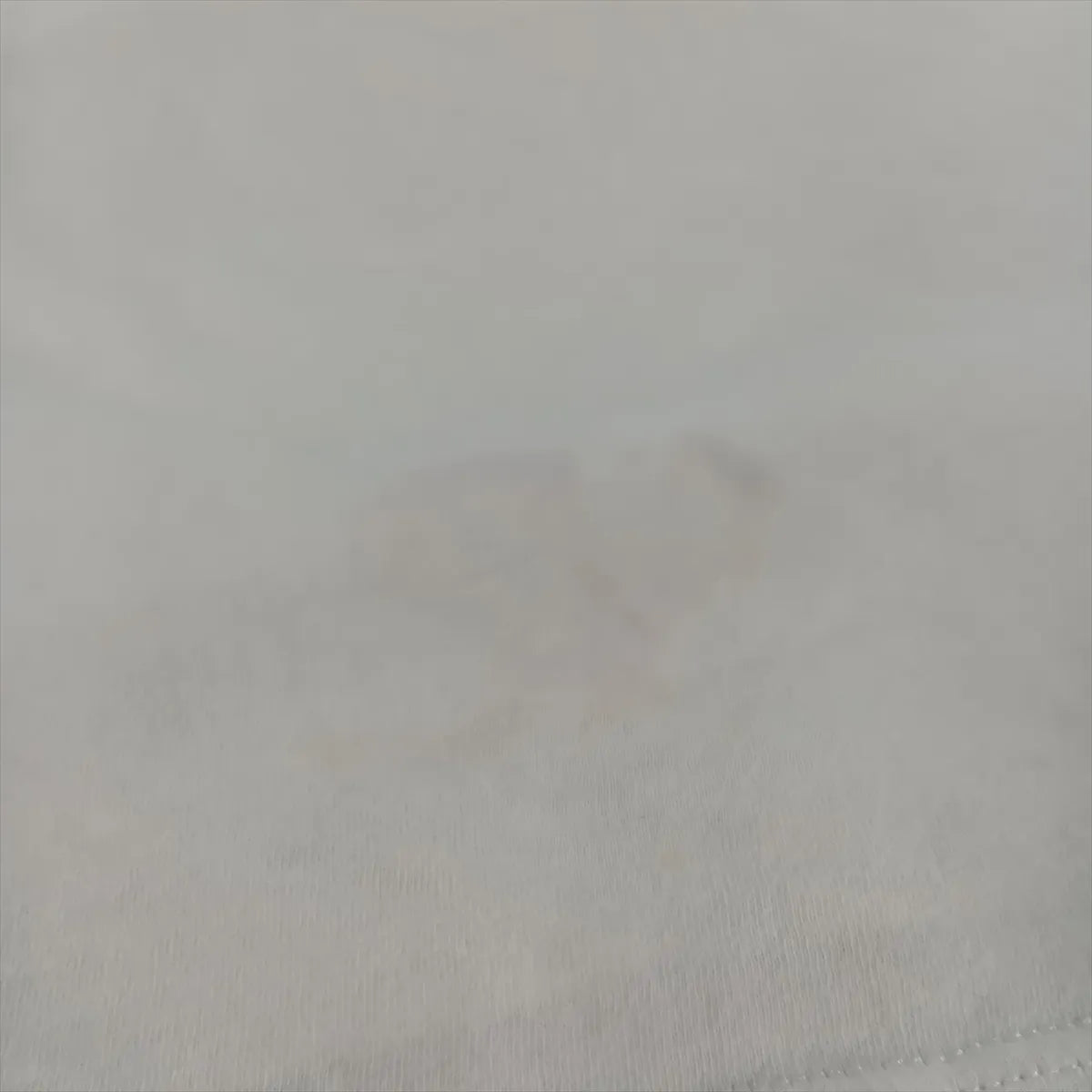 Gucci Logo Web Cotton T-shirt White