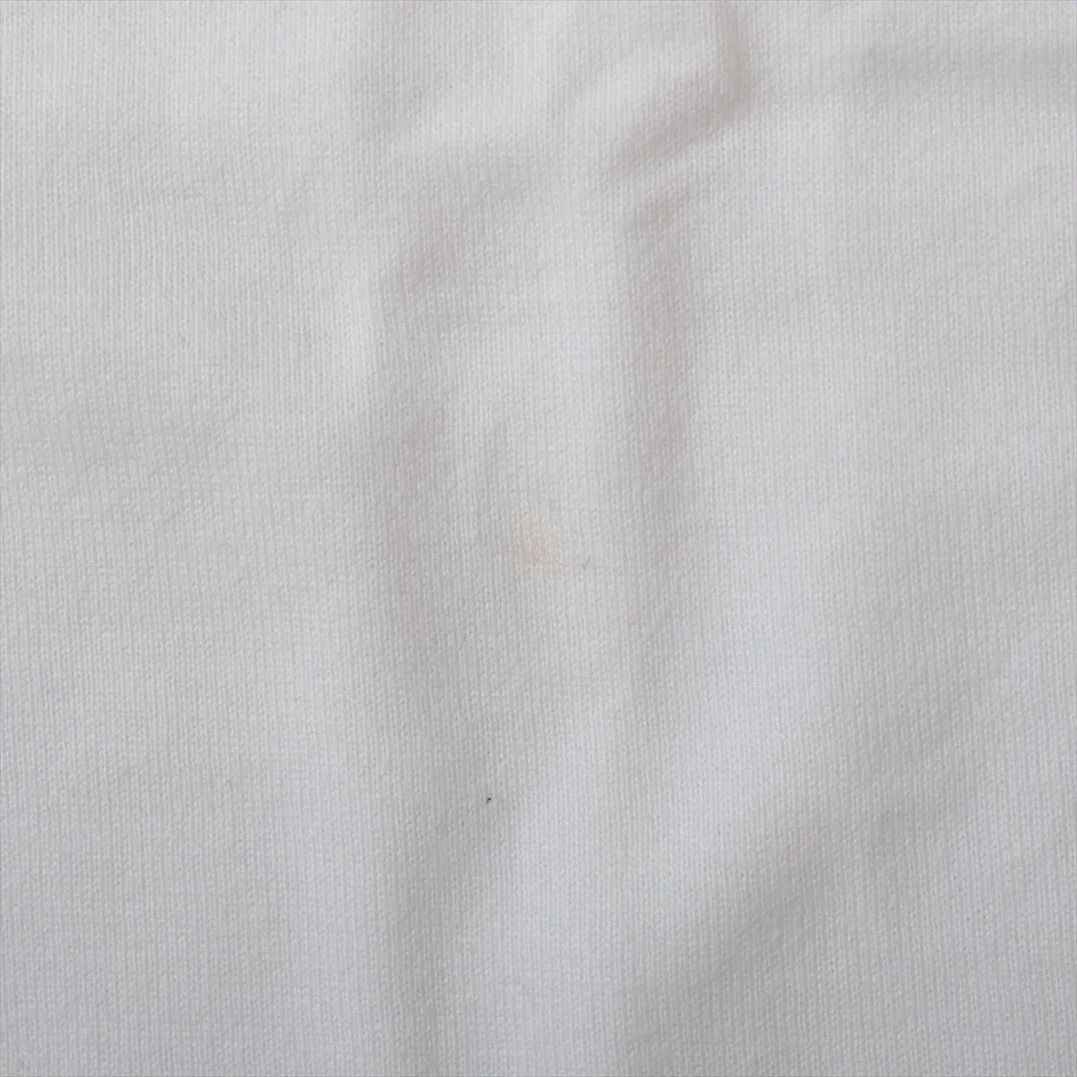 Dior BEE Embroidery Cotton T-shirt White