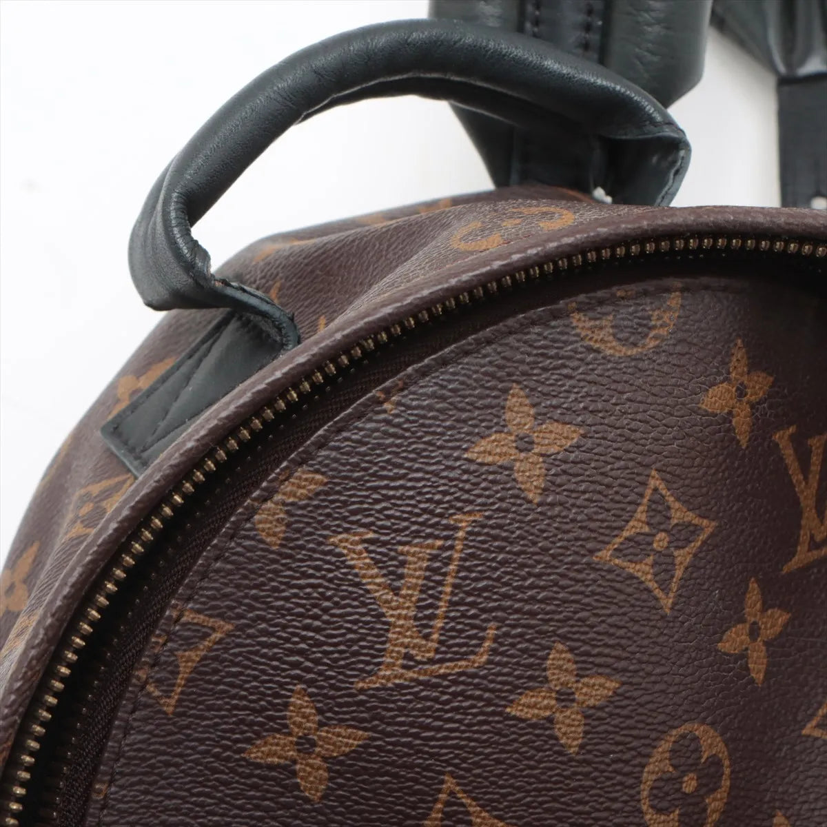Louis Vuitton Monogram Palm Springs Backpack PM
