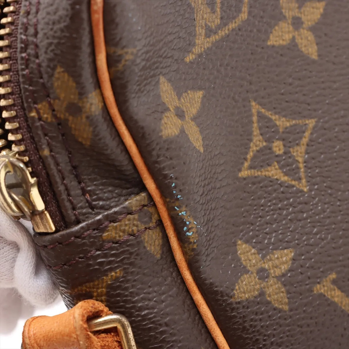 Louis Vuitton Monogram Danube