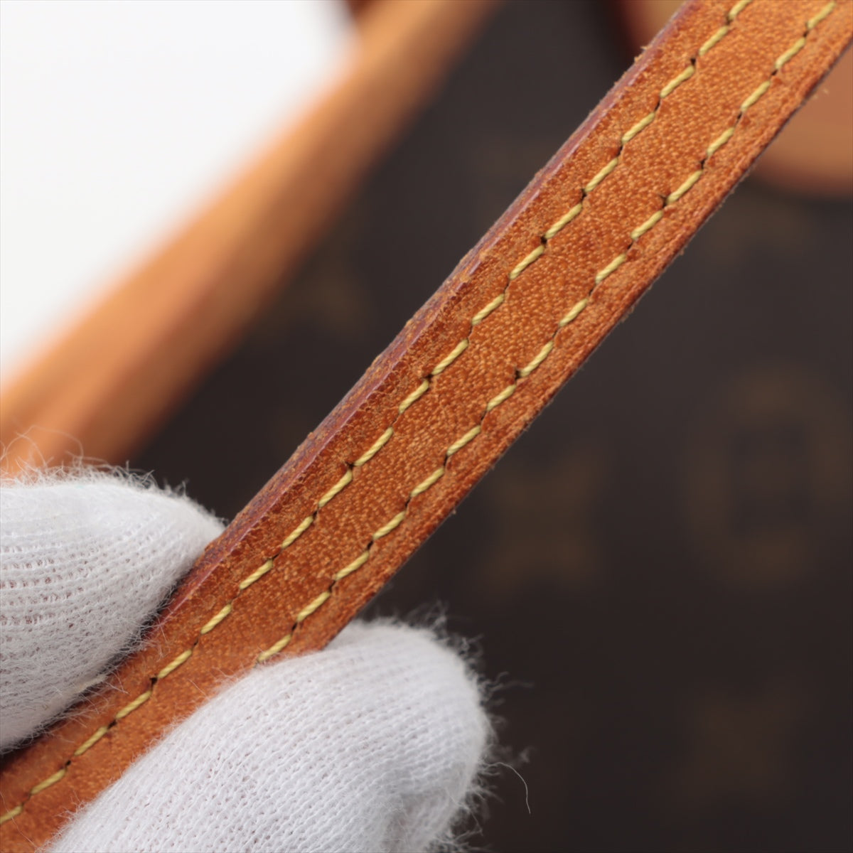 Louis Vuitton Monogram Neverfull PM