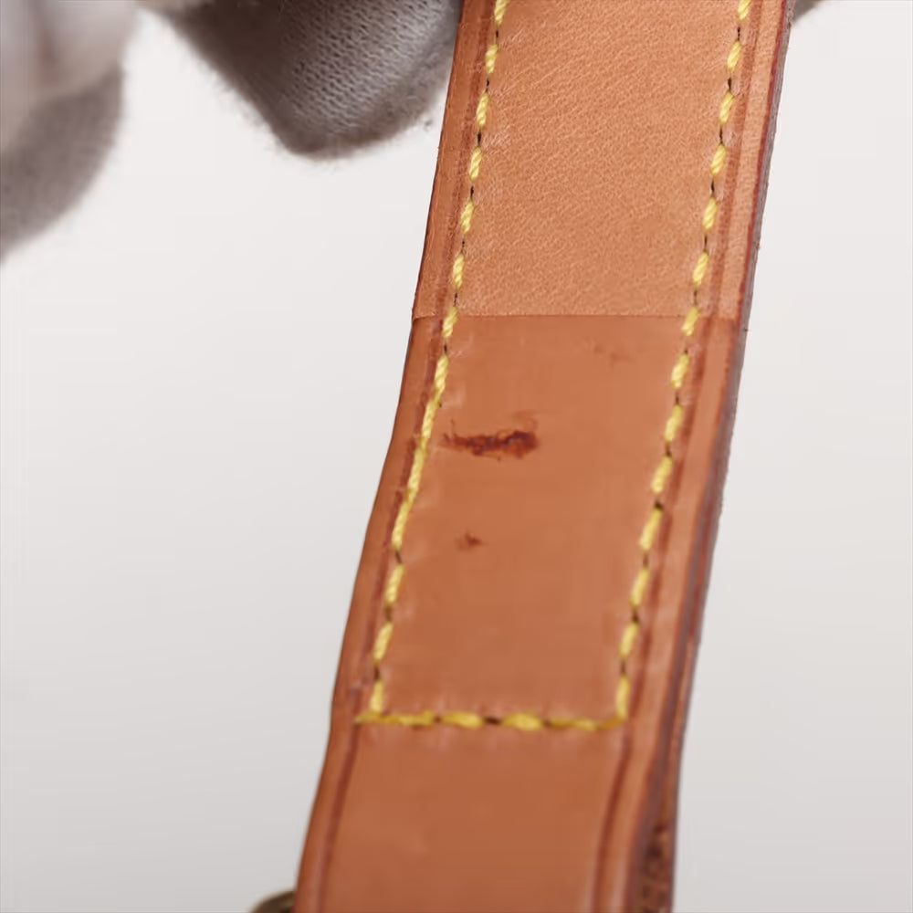 Louis Vuitton Damier Ebene Columbine