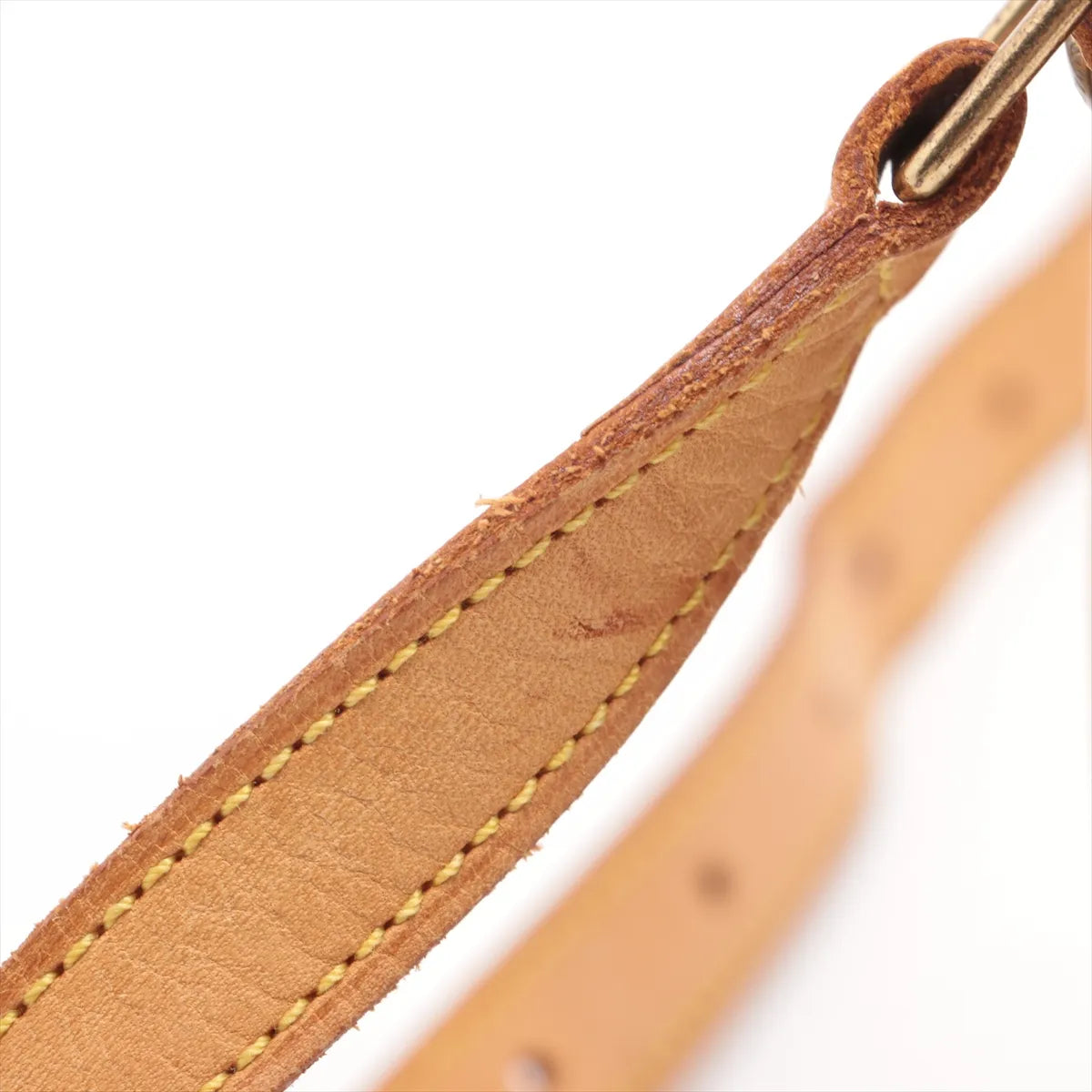 Louis Vuitton Monogram Sologne
