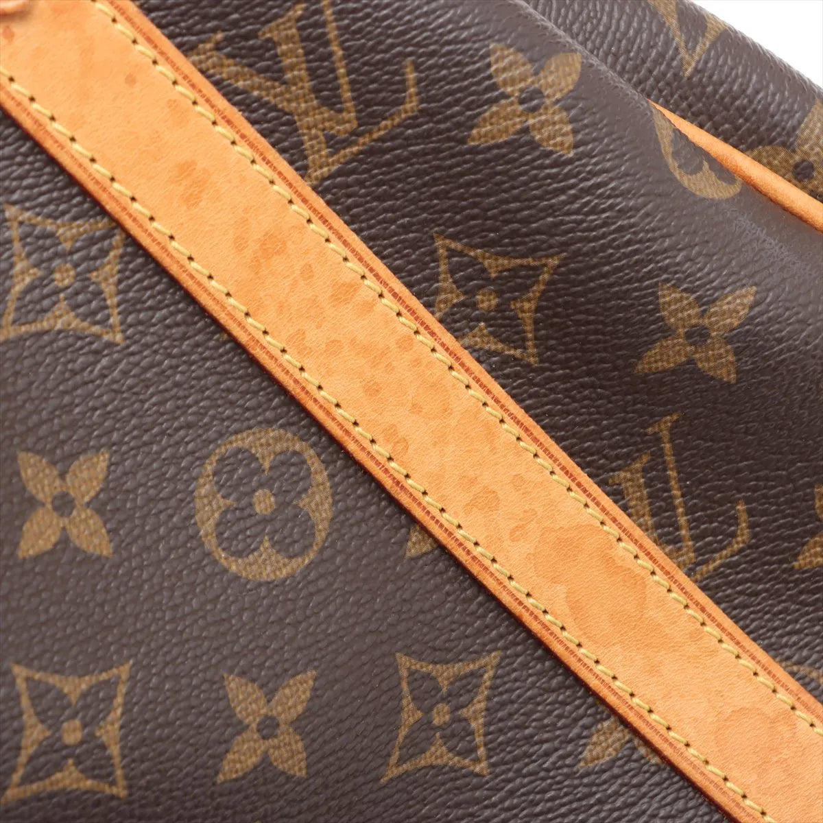 Louis Vuitton Monogram Stresa GM
