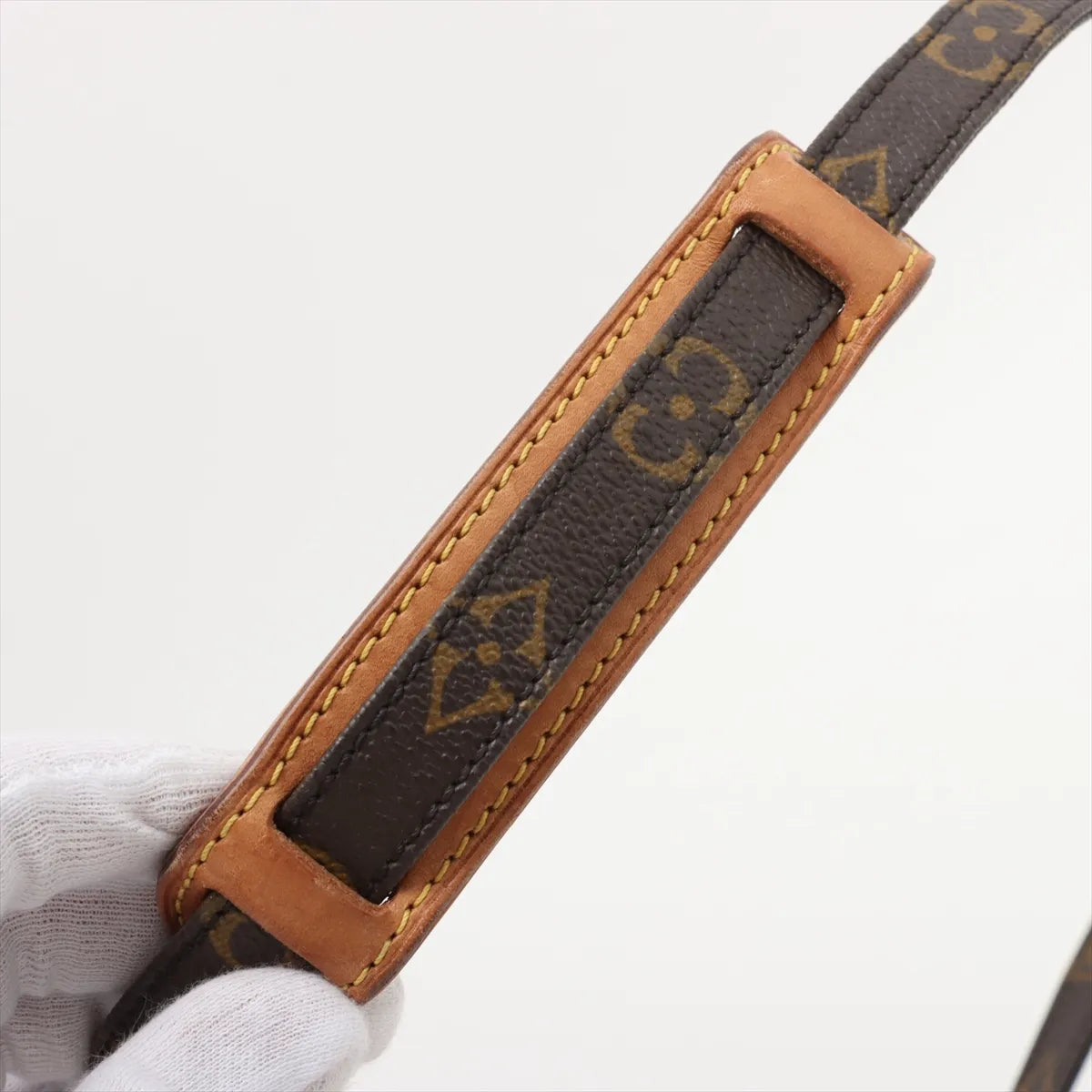 Louis Vuitton Monogram Amazone