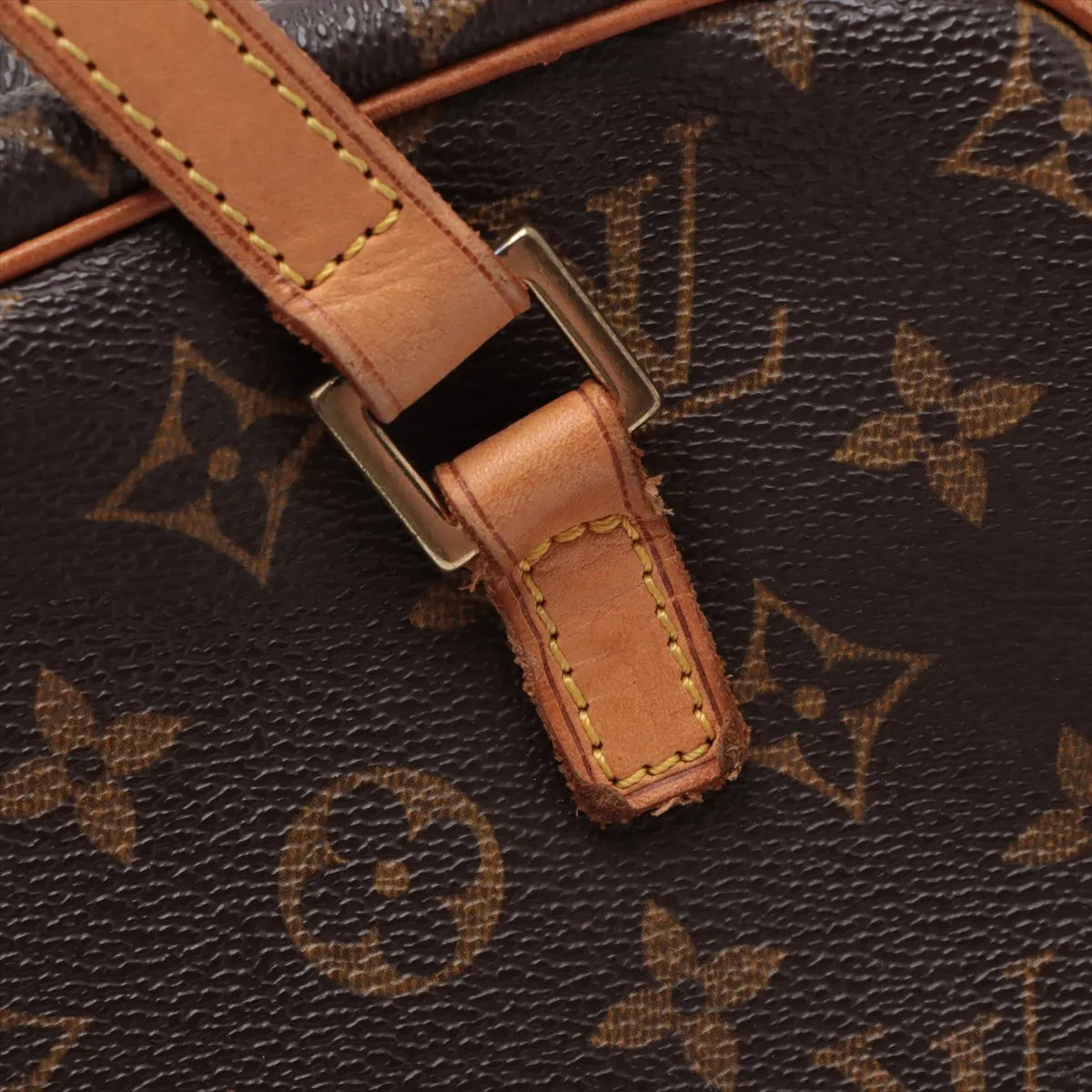 Louis Vuitton Monogram Cite MM