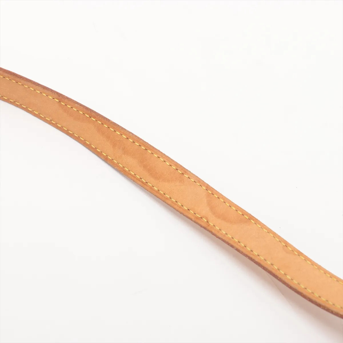 Louis Vuitton Monogram Sologne