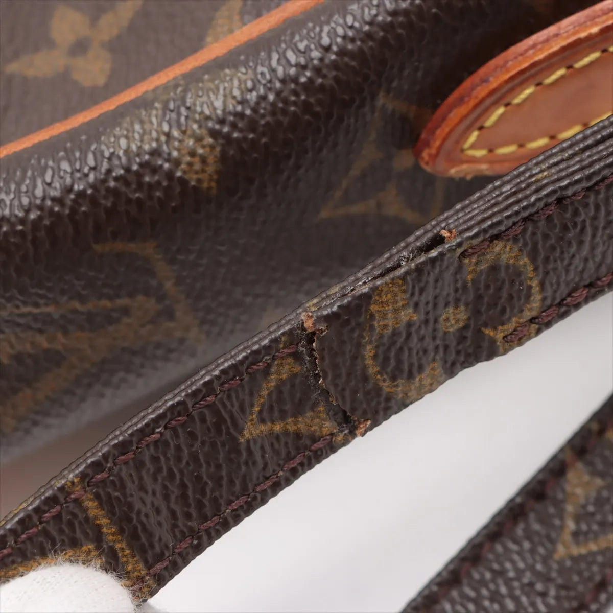 Louis Vuitton Monogram Danube Shoulder Bag