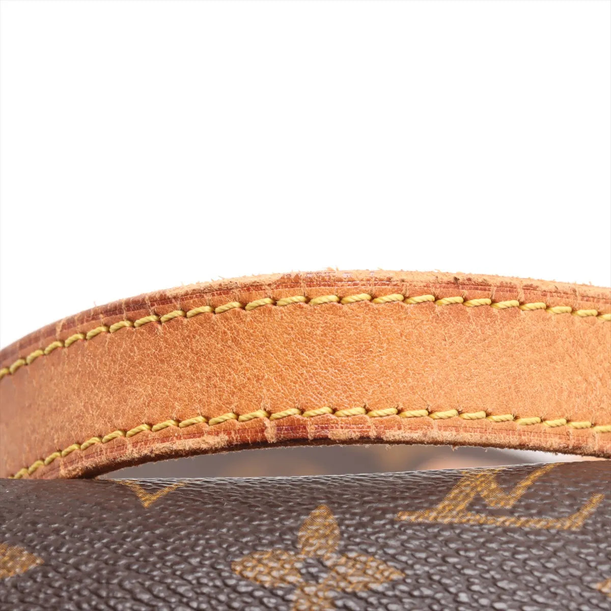 Louis Vuitton Monogram Cabas Alto Tote Bag