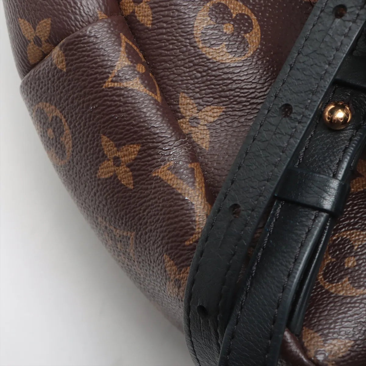 Louis Vuitton Monogram Palm Springs Backpack PM