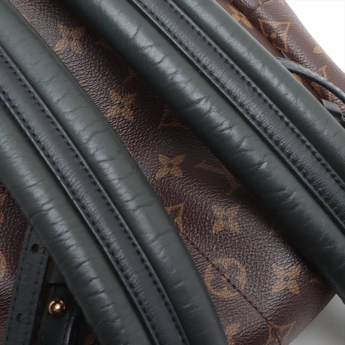 Louis Vuitton Monogram Palm Springs Backpack PM