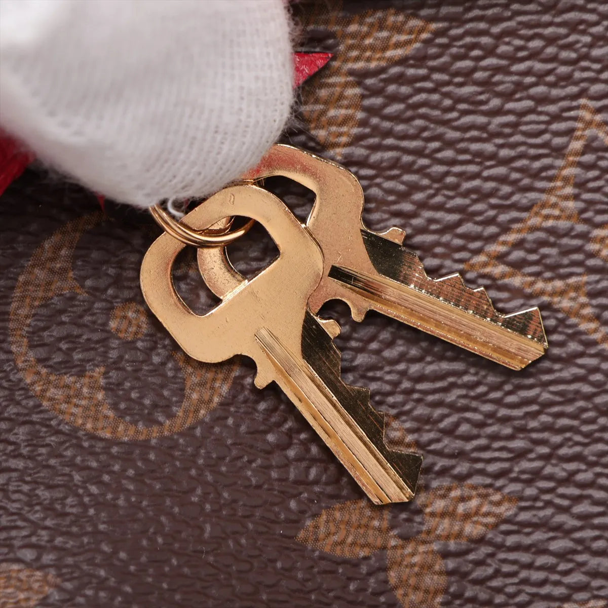 Louis Vuitton Monogram Venus Brown x Red