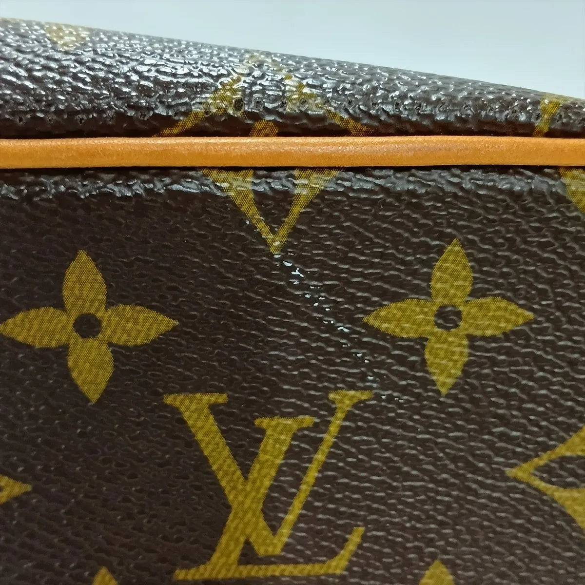 Louis Vuitton Monogram Palermo PM