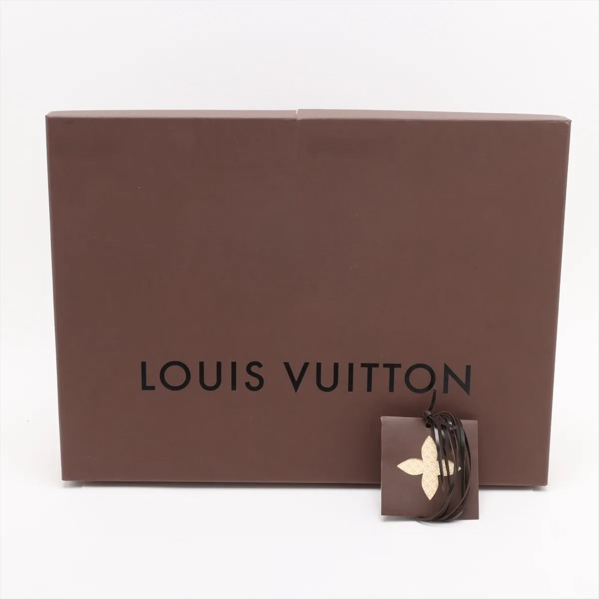 Louis Vuitton Damier Bloomsbury PM