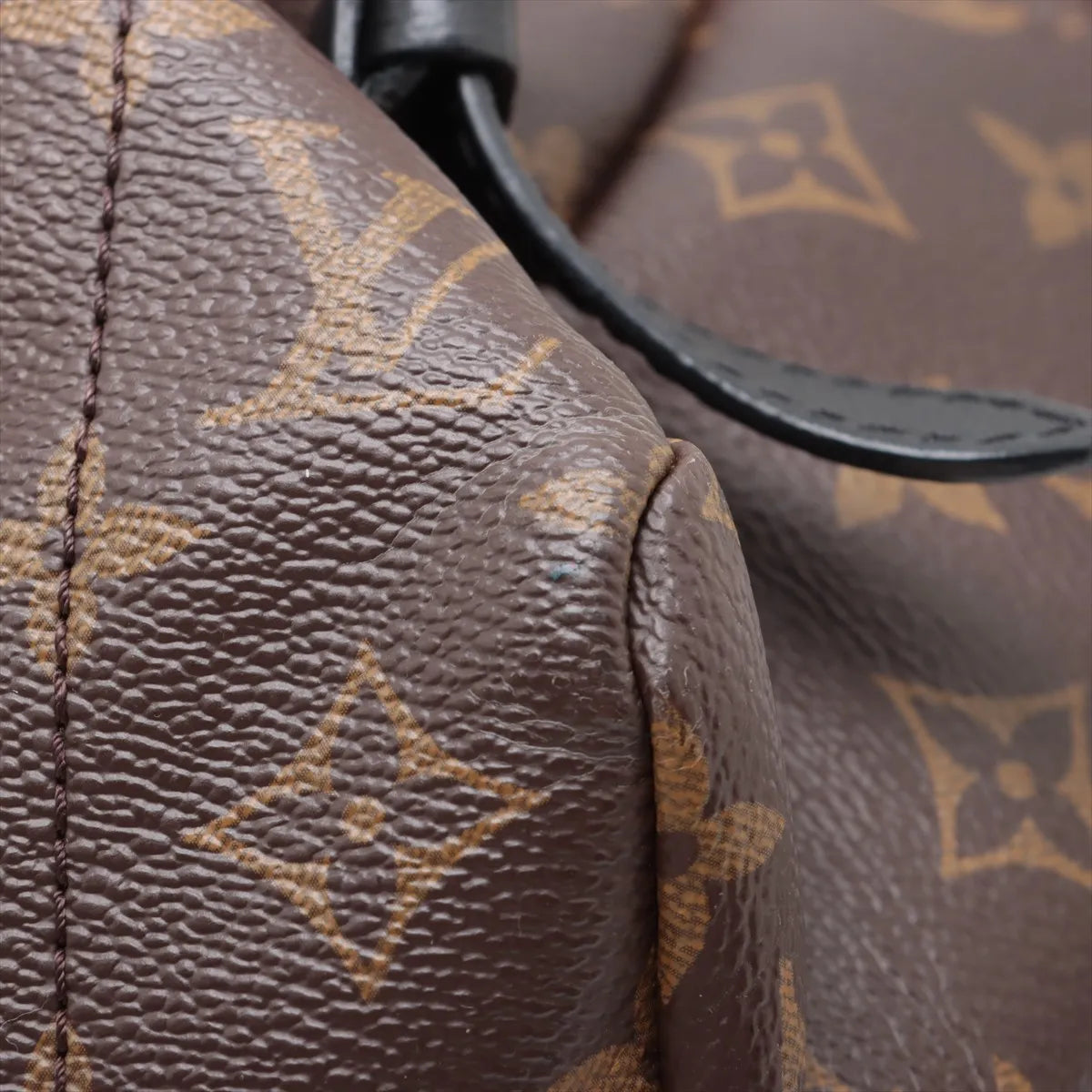 Louis Vuitton Monogram Palm Springs MM Backpack