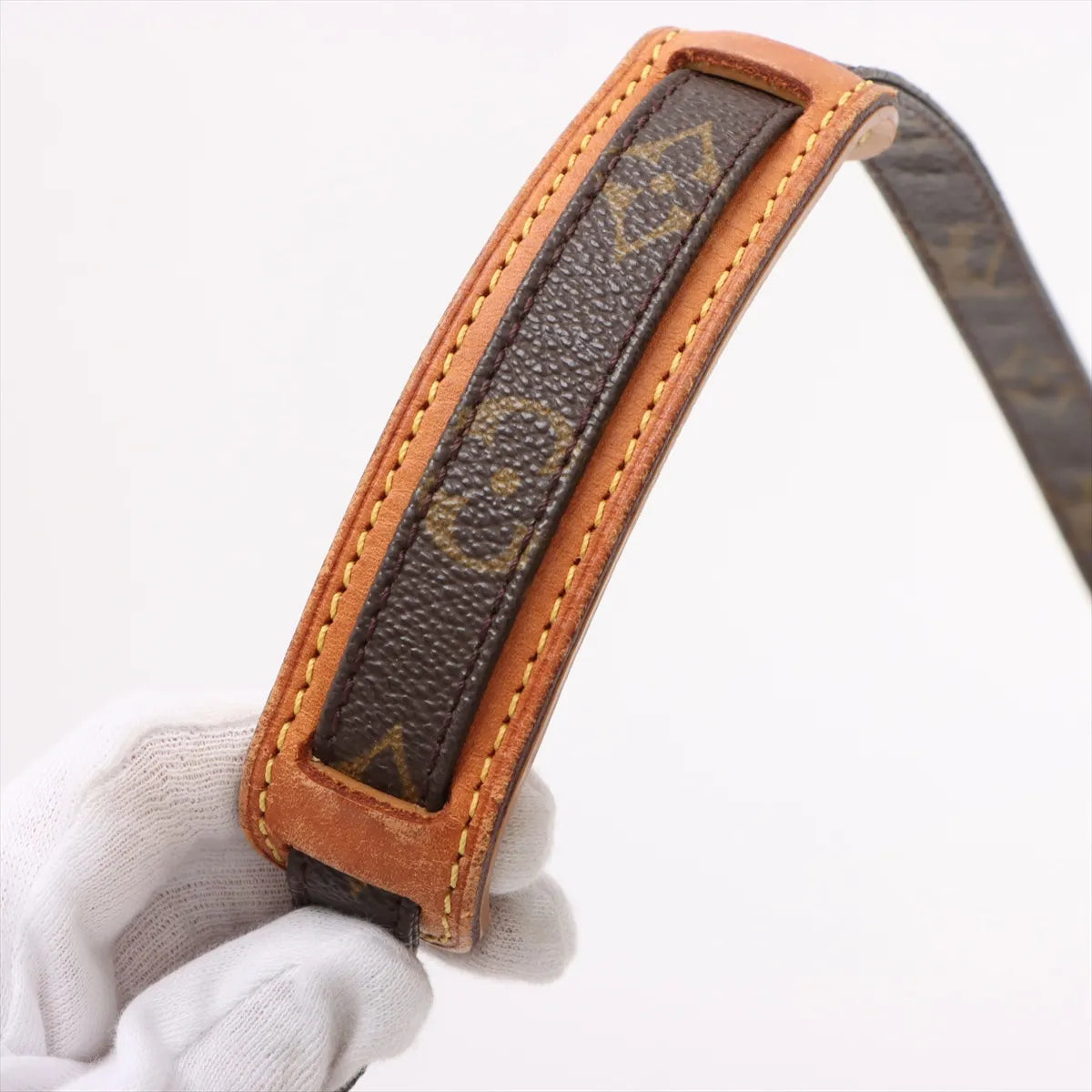 Louis Vuitton Monogram Amazone