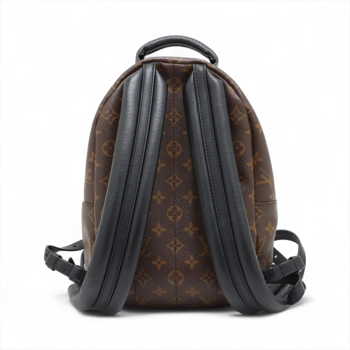 Louis Vuitton Monogram Reverse Palm Springs Backpack PM