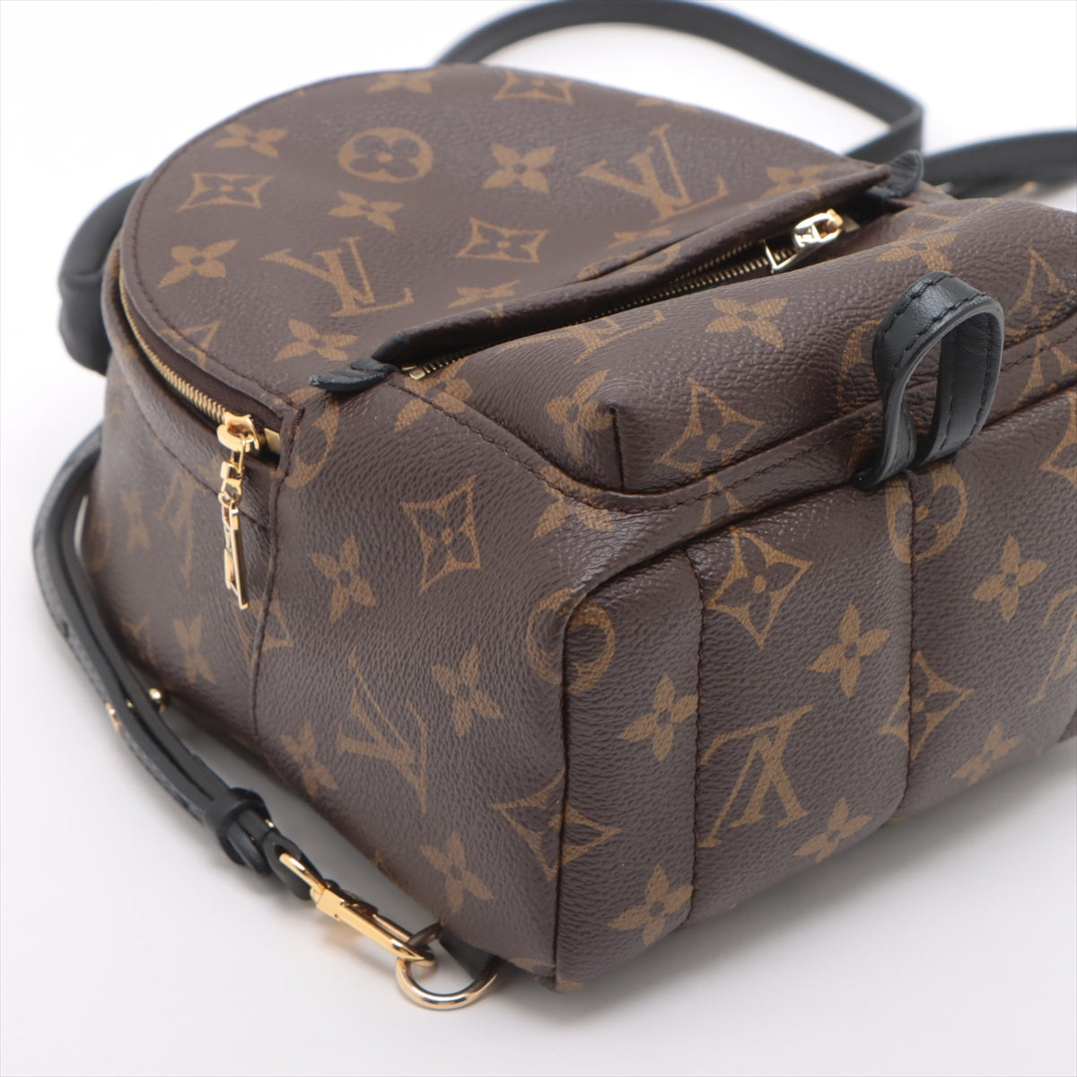 Louis Vuitton Monogram Palm Springs Mini Backpack * PREORDER *