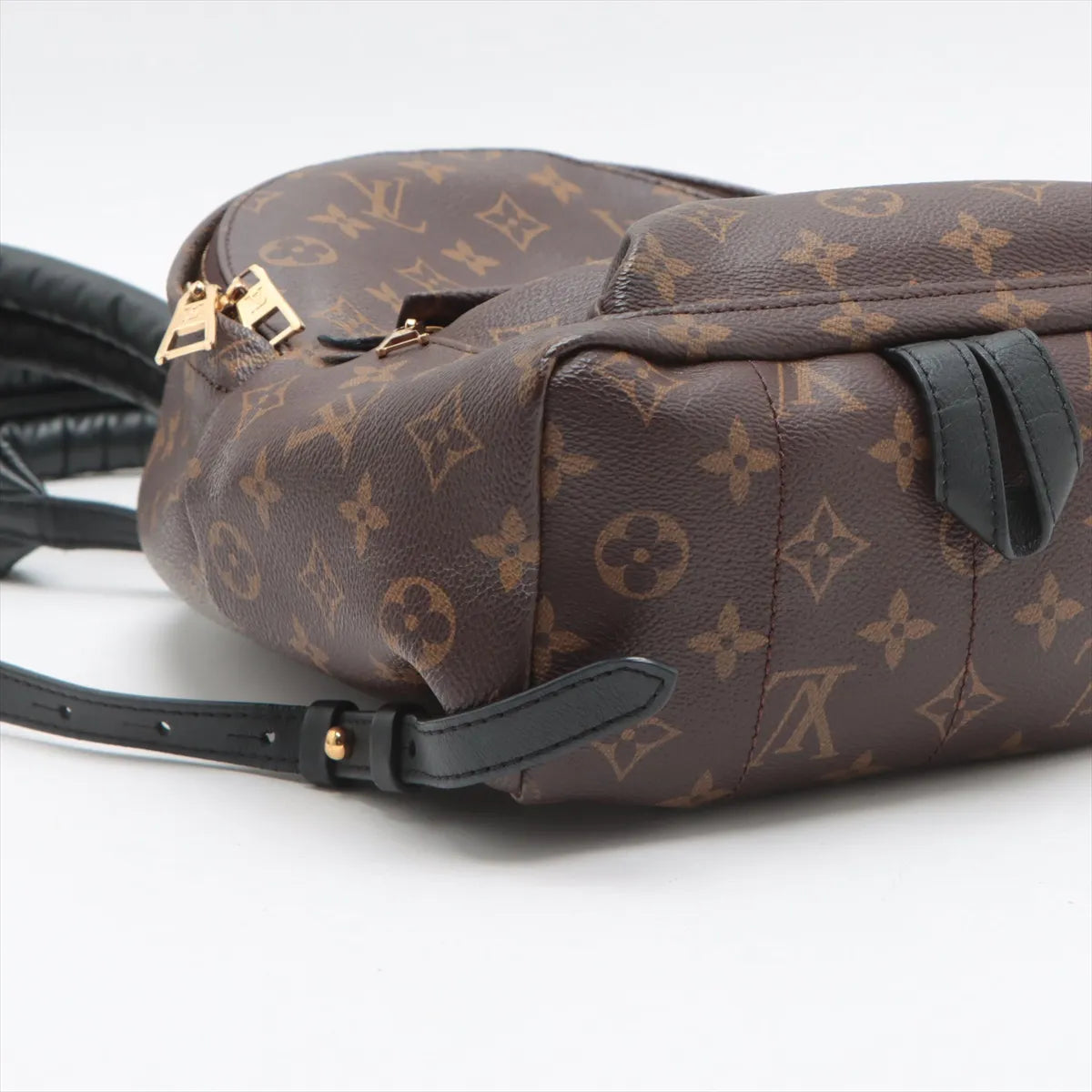 Louis Vuitton Monogram Palm Springs Backpack PM