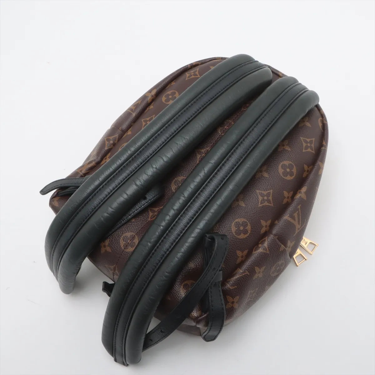 Louis Vuitton Monogram Palm Springs Backpack PM