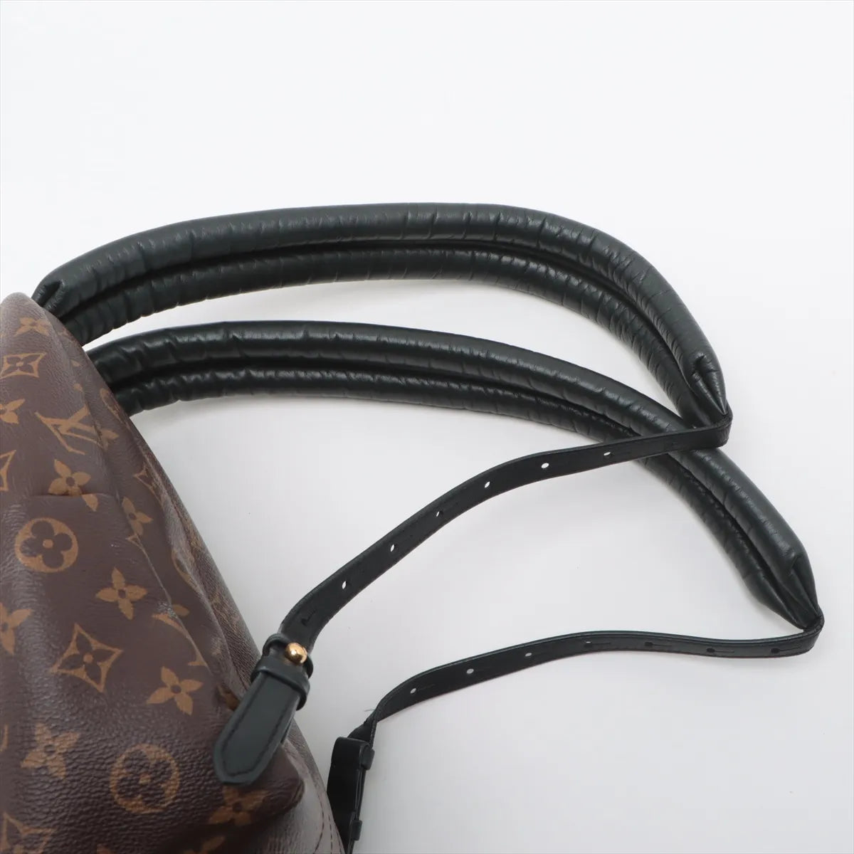 Louis Vuitton Monogram Palm Springs Backpack PM