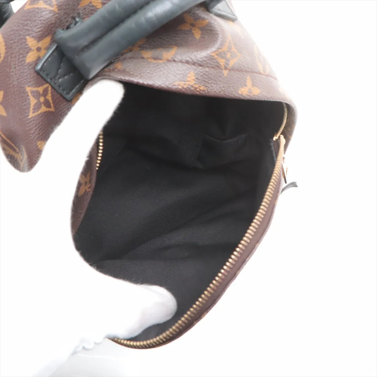 Louis Vuitton Monogram Palm Springs Backpack PM