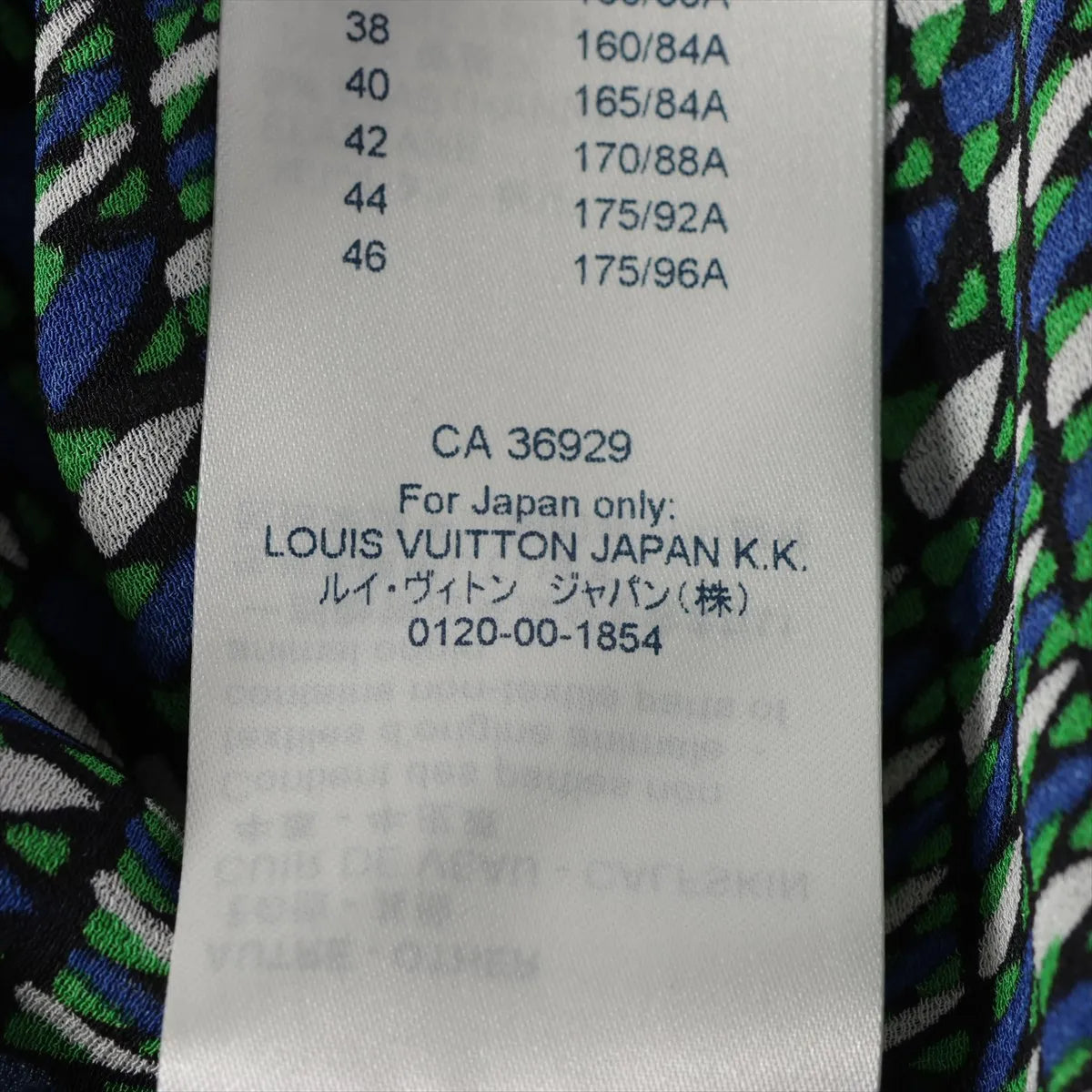 Louis Vuitton Silk Long Sleeve Dress Green x Blue