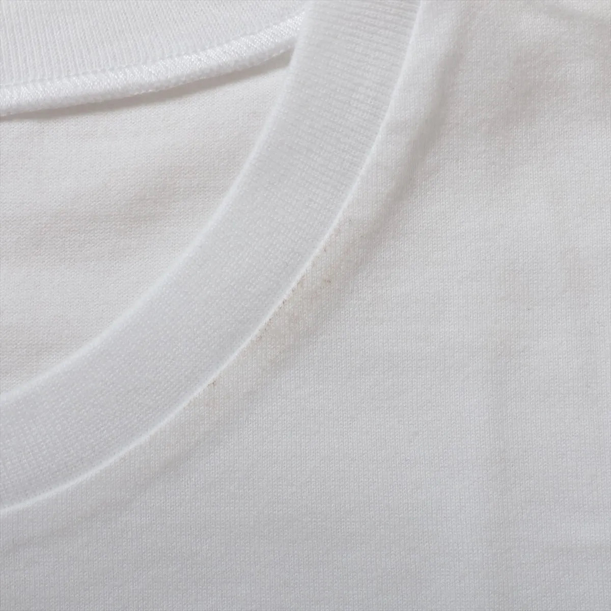 Dior BEE Embroidery Cotton T-shirt White