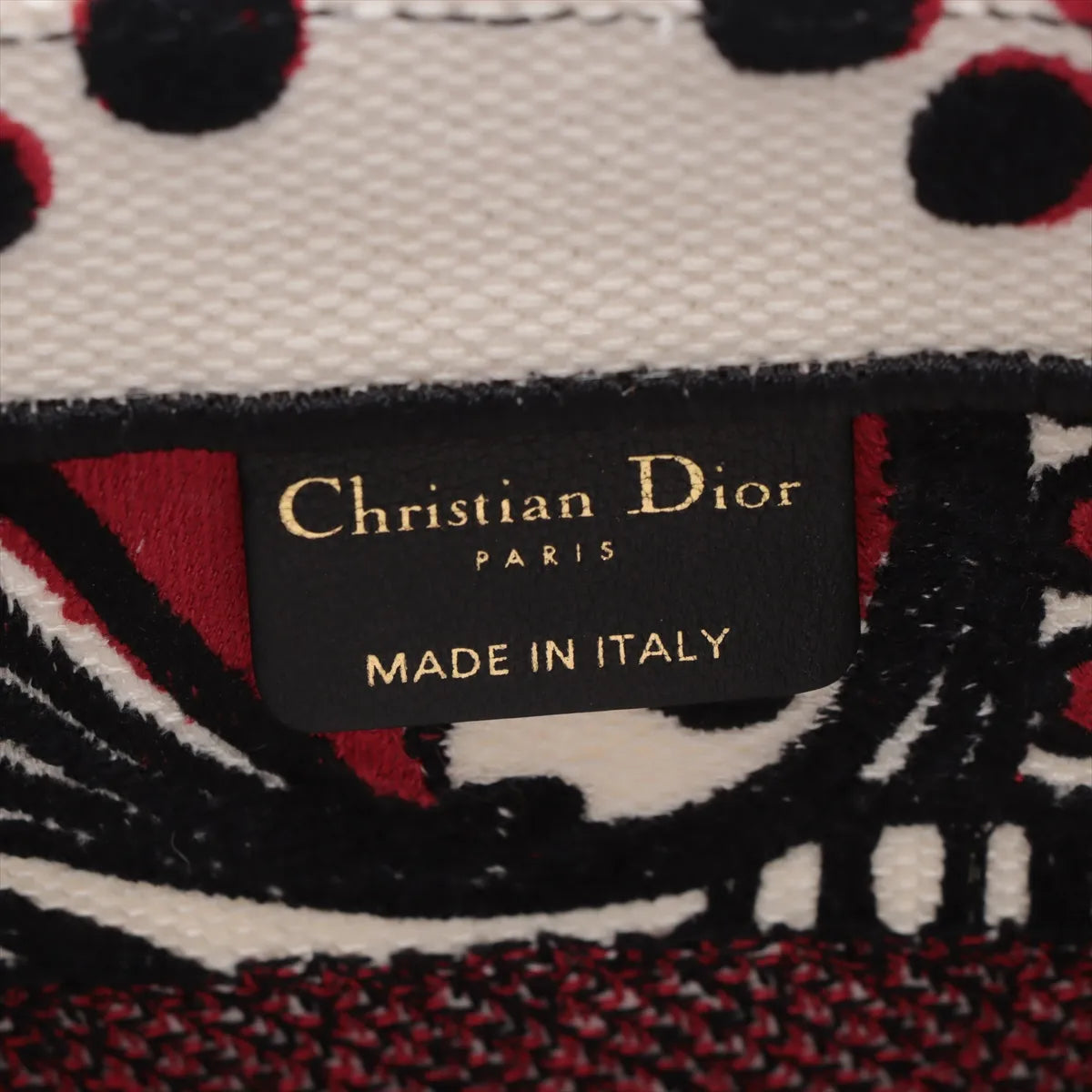 Christian Dior Embroidered Cupidon Medium Book Tote Bag