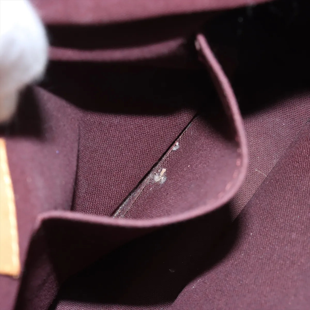 Louis Vuitton Monogram Iéna PM