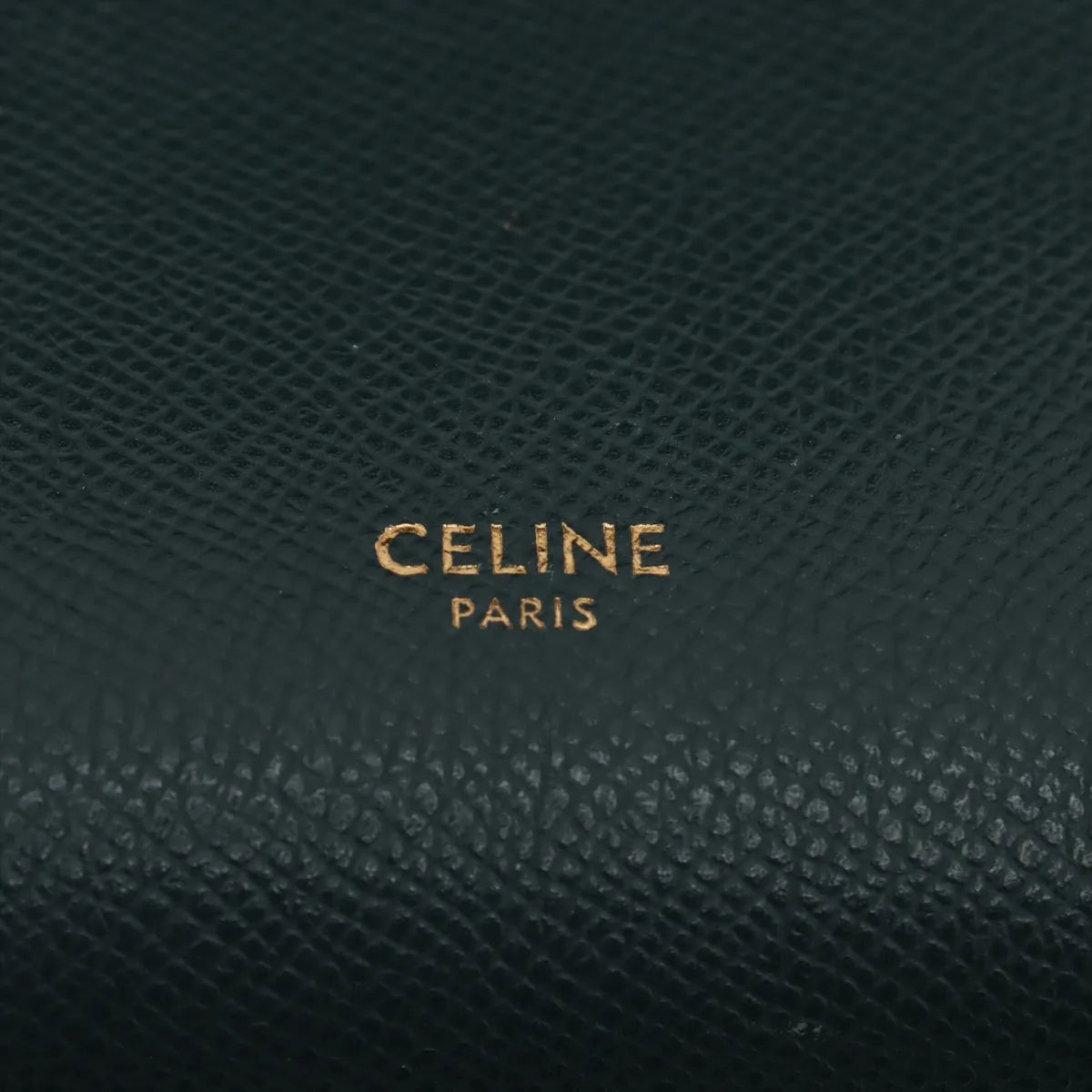 Celine Belt Nano Leather Two-Way Handbag Green