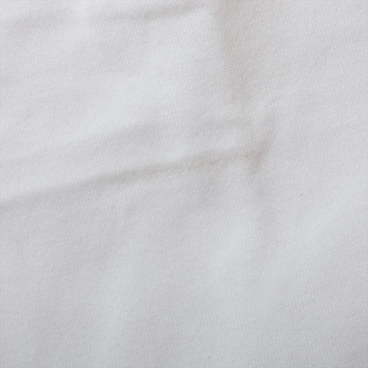 Dior BEE Embroidery Cotton T-shirt White