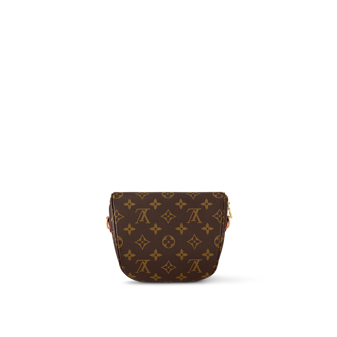 Louis Vuitton Monogram Mini Bum Bag – REDELUXE