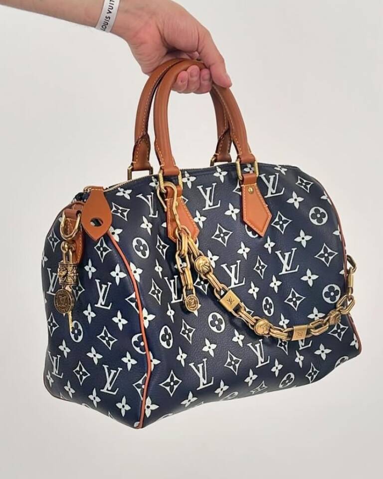 The Louis Vuitton Bags You Never Knew You Needed