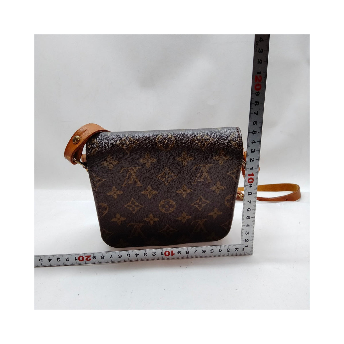 Louis Vuitton Monogram Cartouchière PM Bag — detail 1