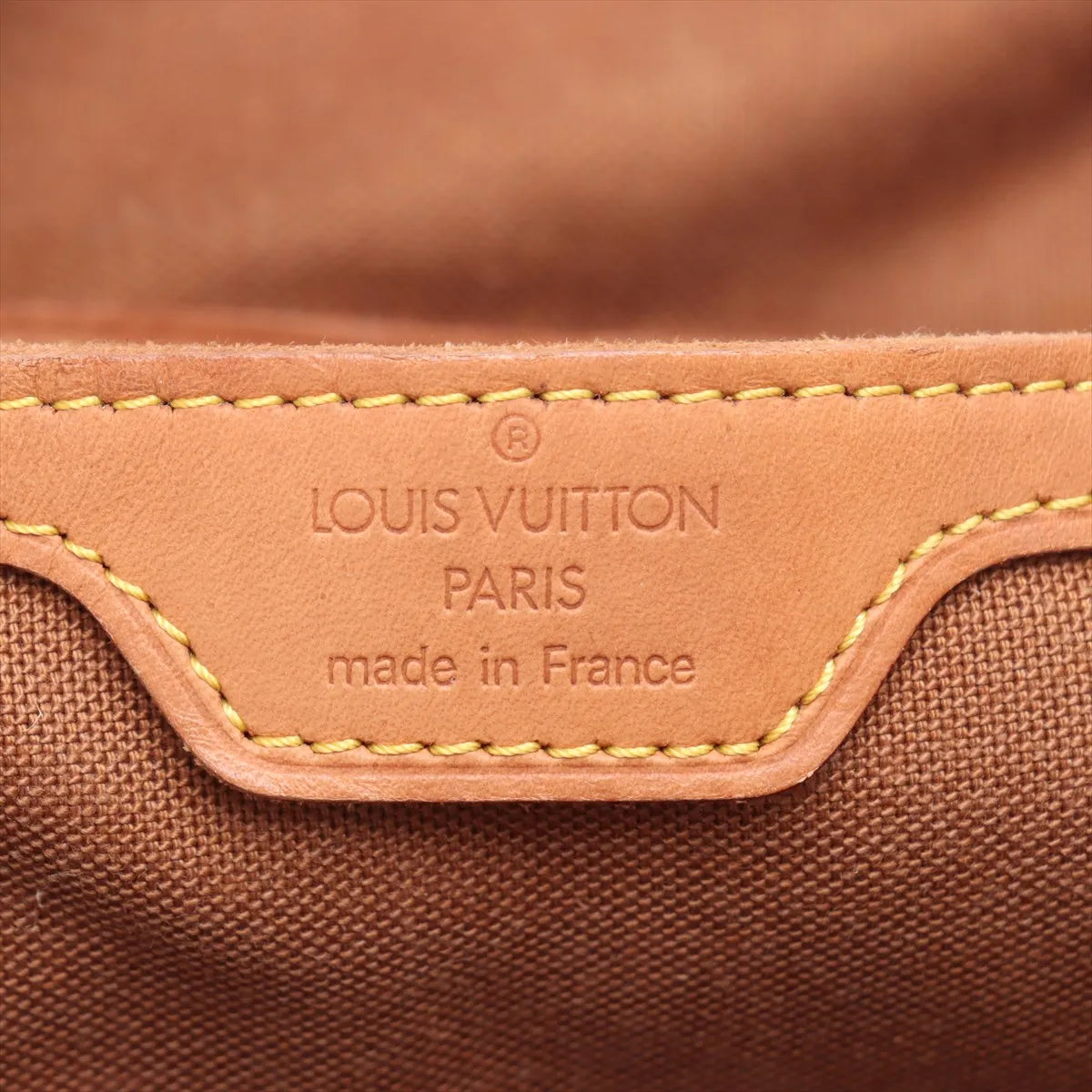 Louis Vuitton Monogram Montsouris GM