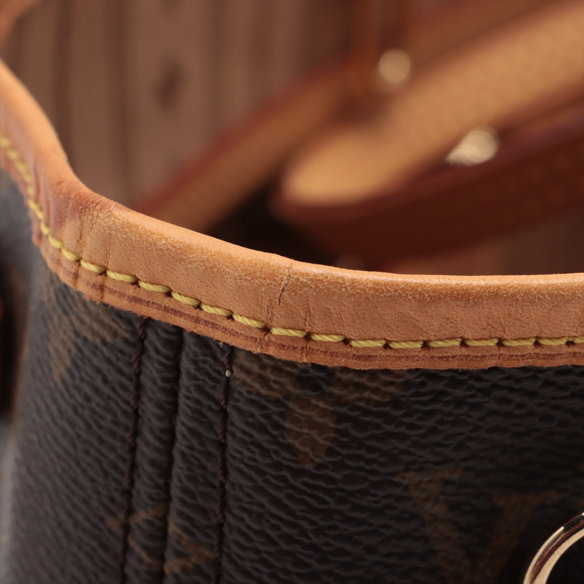 Louis Vuitton Monogram Neverfull PM  * PREORDER *