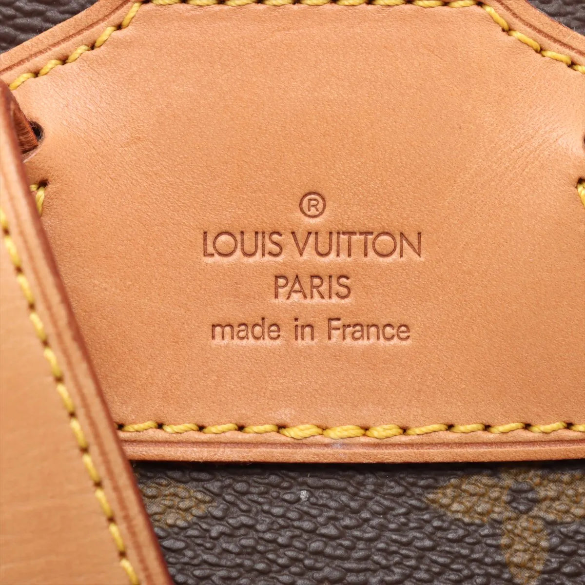 Louis Vuitton Monogram Montsouris MM
