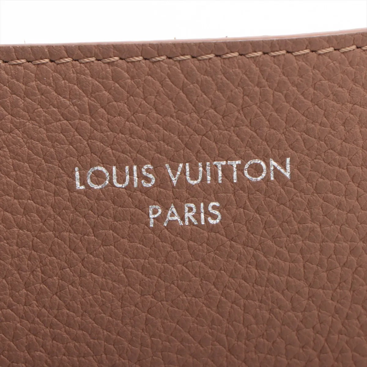 Louis Vuitton Verso LV Hobo Tote Bag Tan