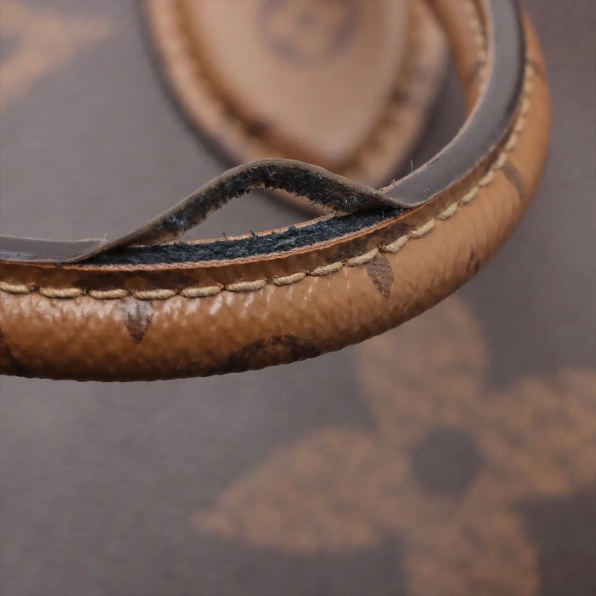 Louis Vuitton Giant Monogram Reverse On the Go GM
