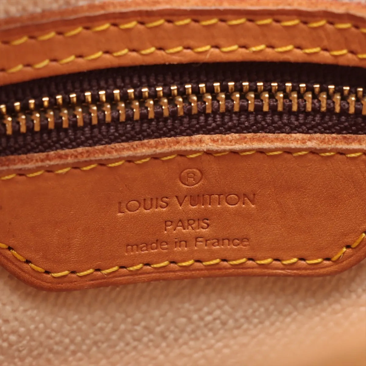 Louis Vuitton Monogram Bucket PM Tote Bag