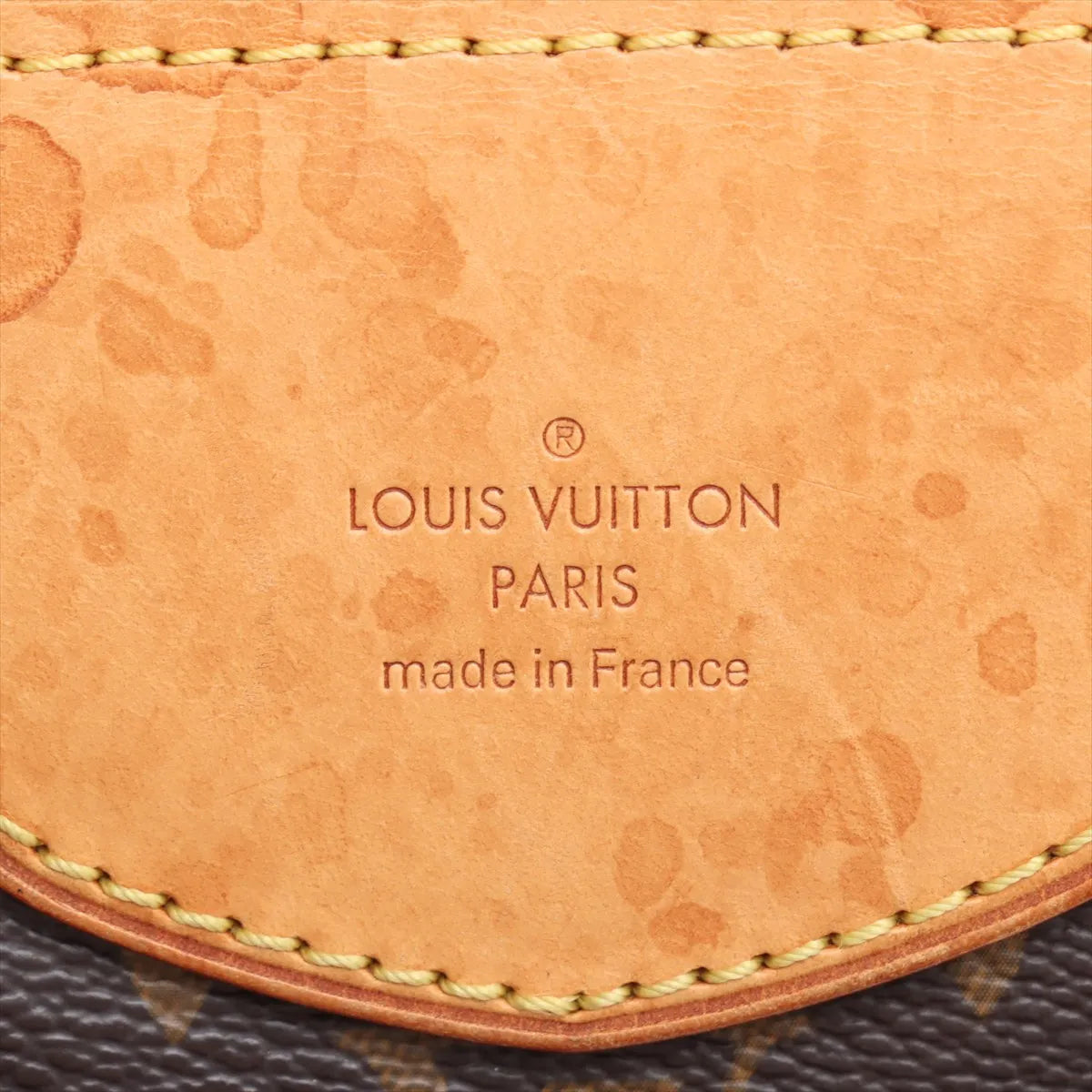 Louis Vuitton Monogram Stresa GM