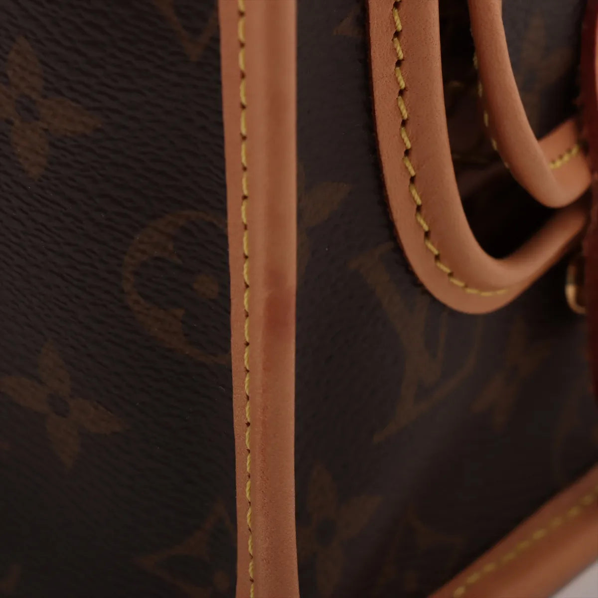 Louis Vuitton Monogram Dog Bag