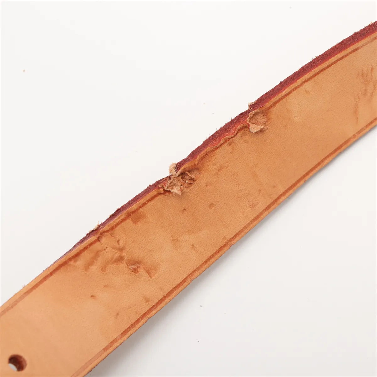 Louis Vuitton Monogram Cartouchiere GM