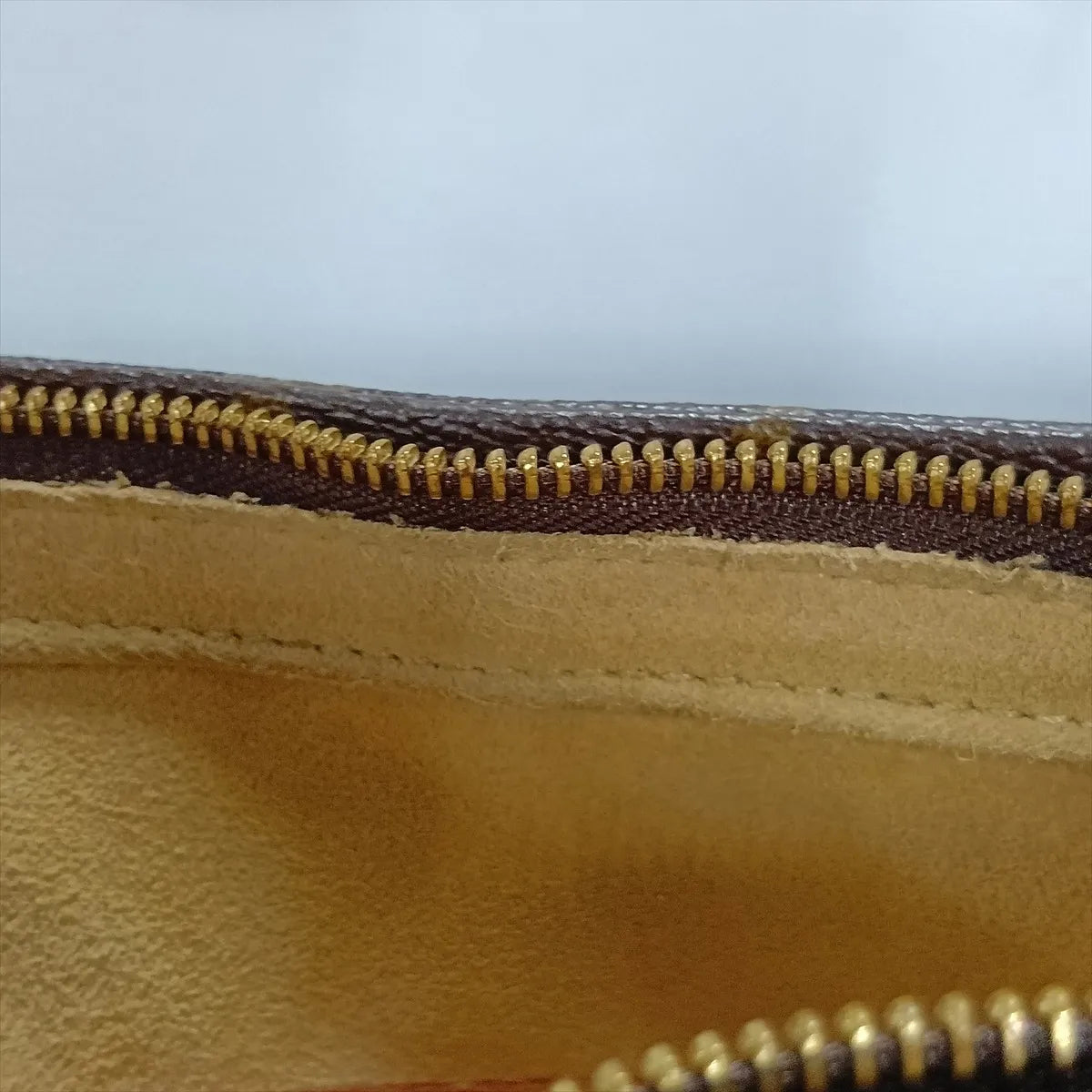 Louis Vuitton Monogram Looping GM