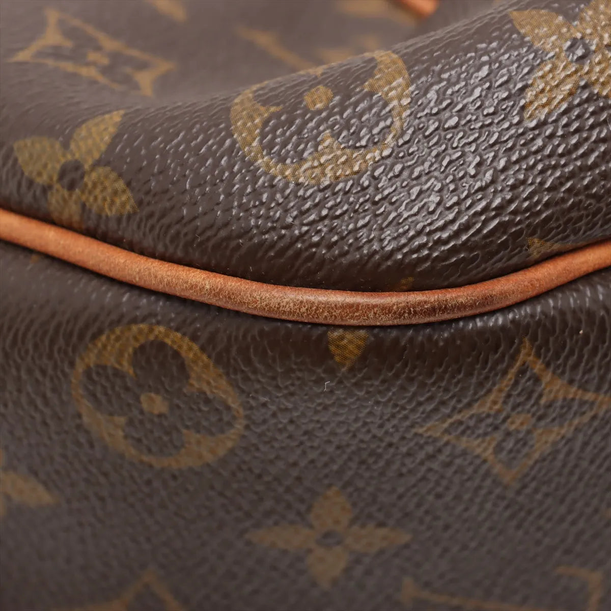 Louis Vuitton Monogram Galliera PM