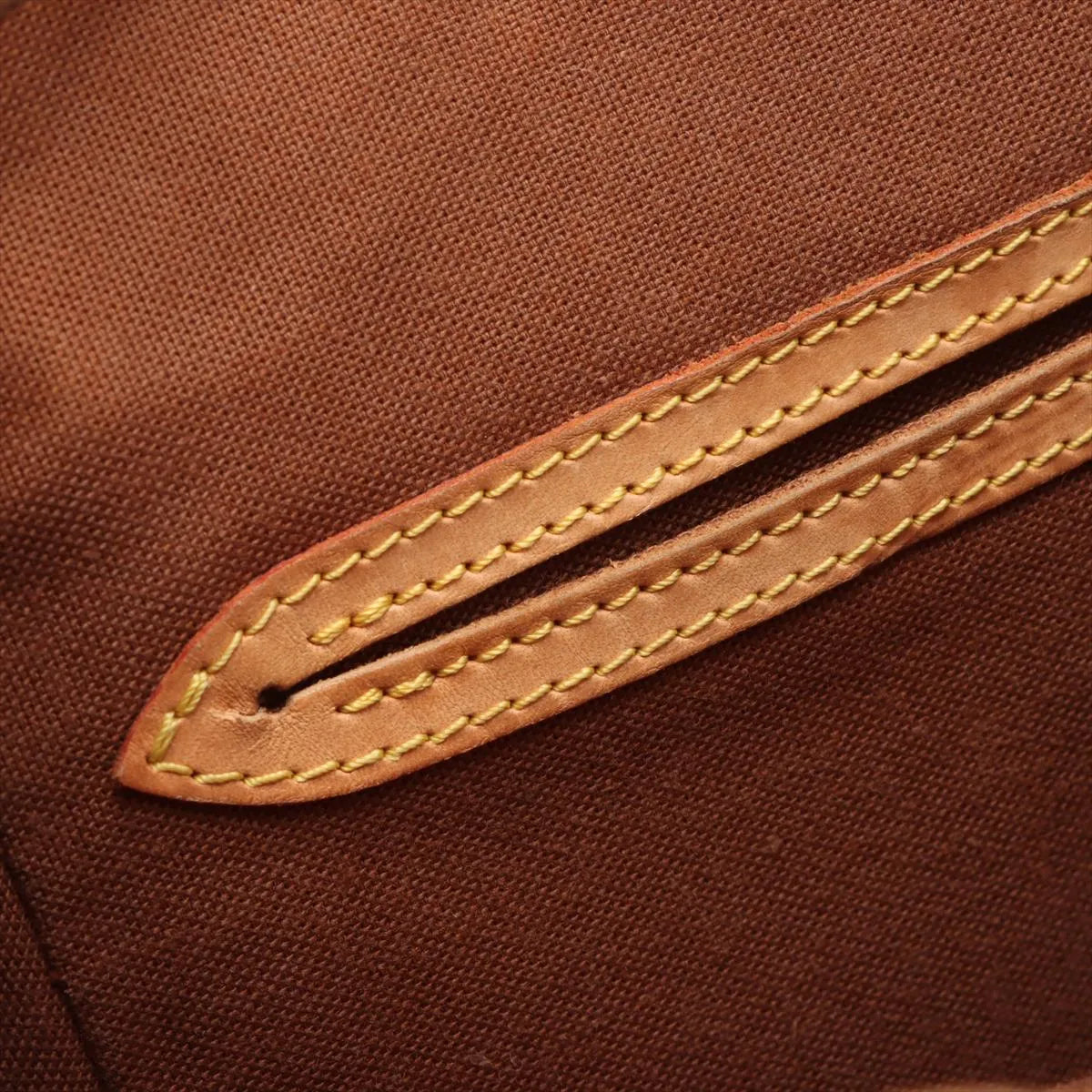 Louis Vuitton Monogram Montsouris MM
