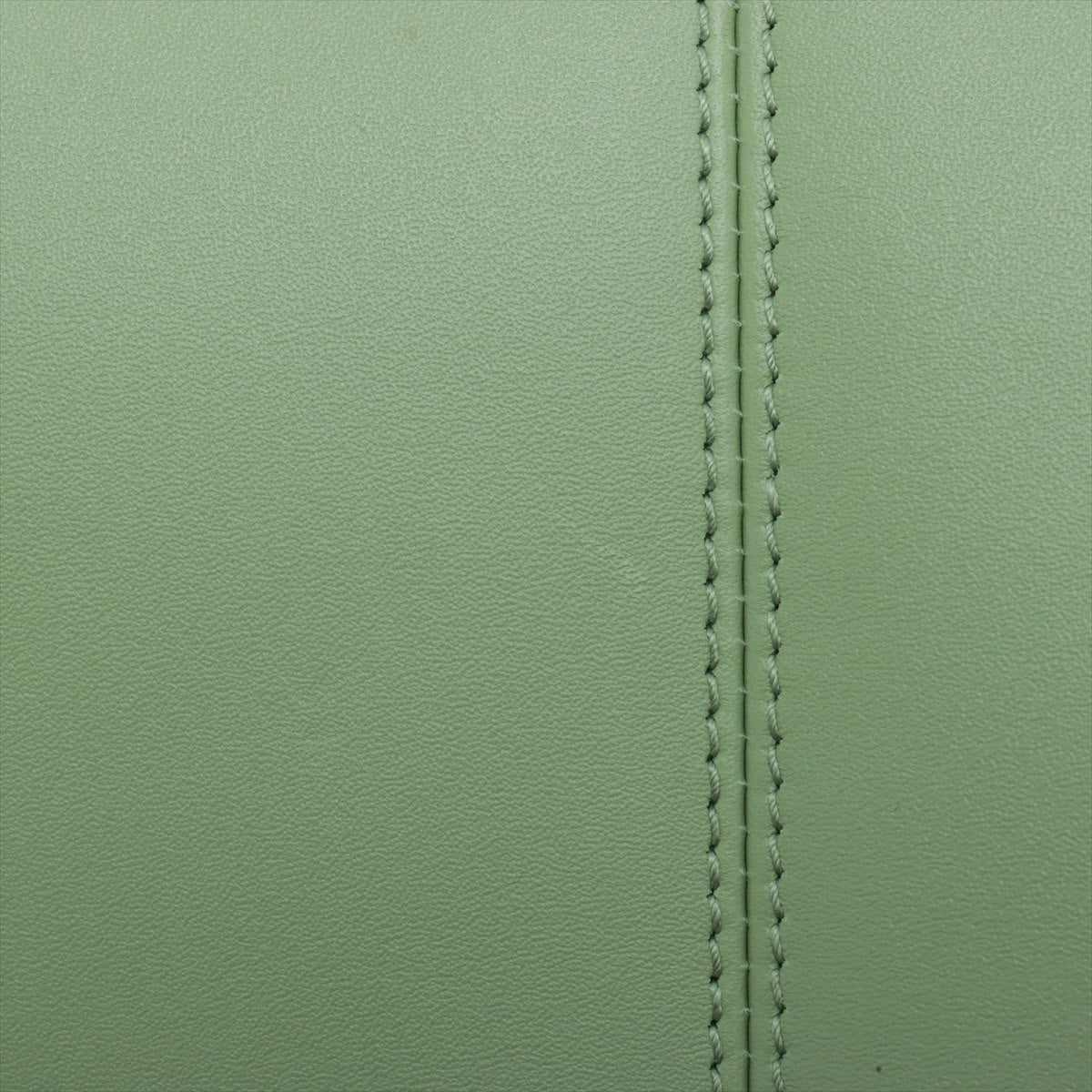 Gucci Petite GG Small Tote Bag Light Green * PREORDER *