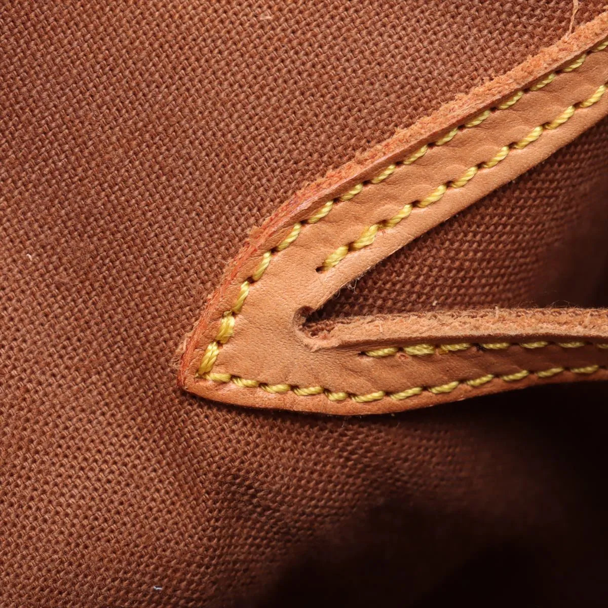 Louis Vuitton Monogram Alma